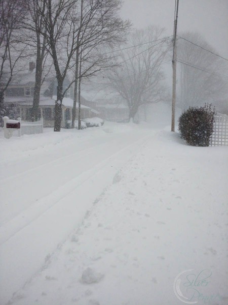 Scituate Snow Days (Blizzard 2015) - Finding Silver Pennies