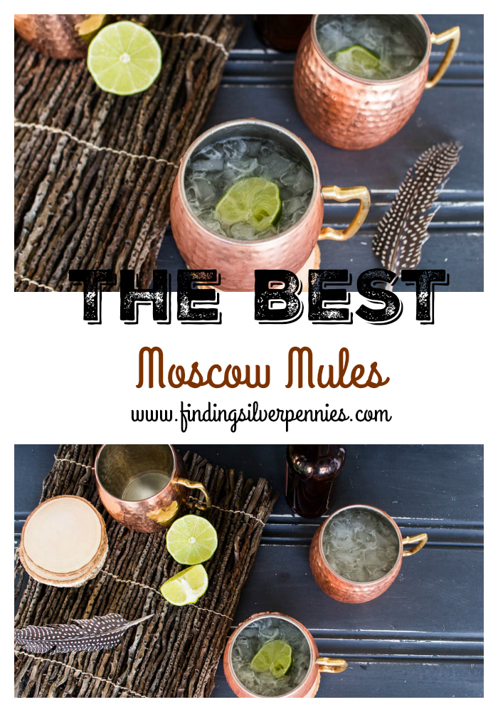 The Best Moscow Mules - Finding Silver Pennies