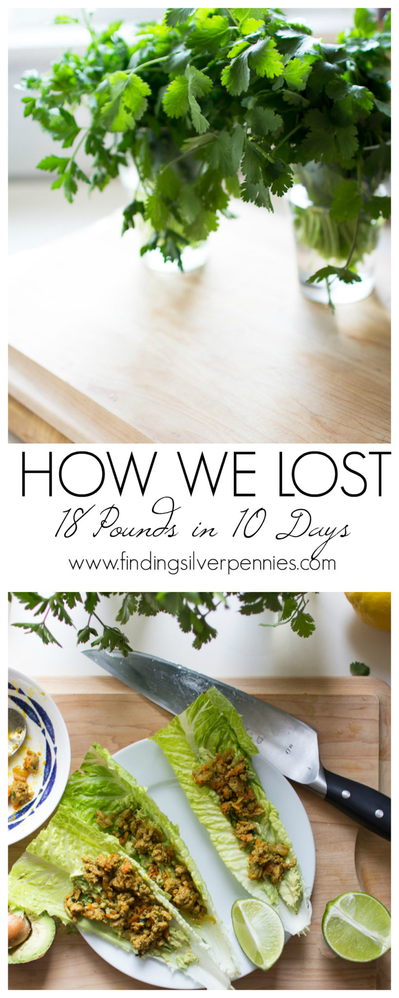 How We Lost 18 Pounds in 10 Days I Our 10 Day Detox I Finding Silver Pennies