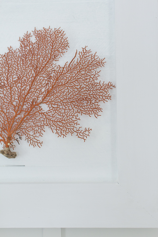 DIY Sea Fan Wall Art Finding Silver Pennies