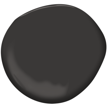 Black Beauty Paint Swatch