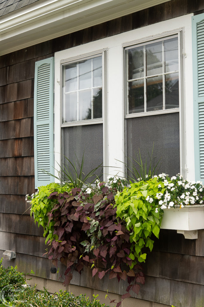 Cozy Fall Exteriors - Finding Silver Pennies