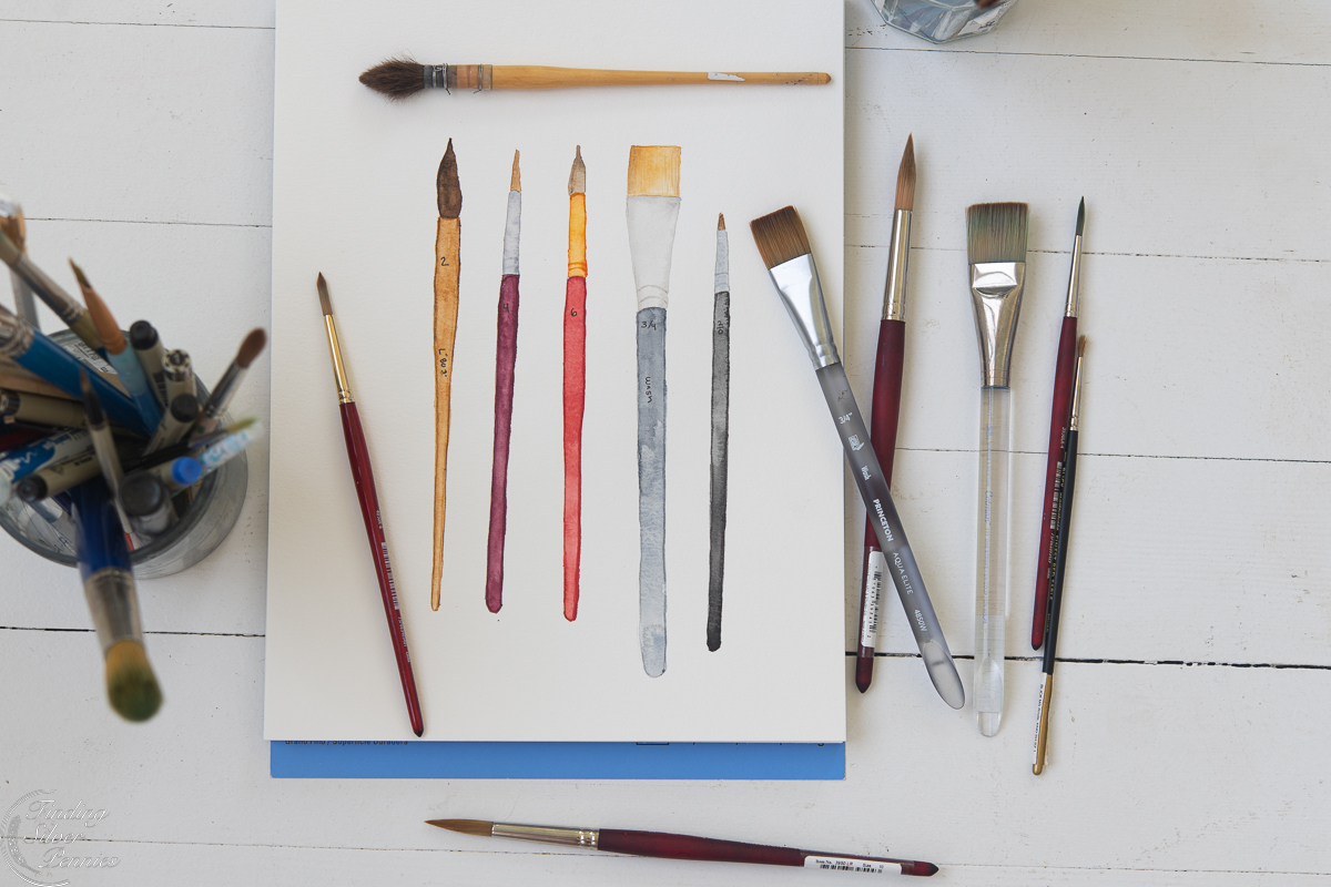 Types Of Watercolor Brushes - Fine Art Blogger